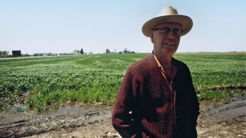 Serbia’s farm prices drop 8.7% in August, squeezing producers